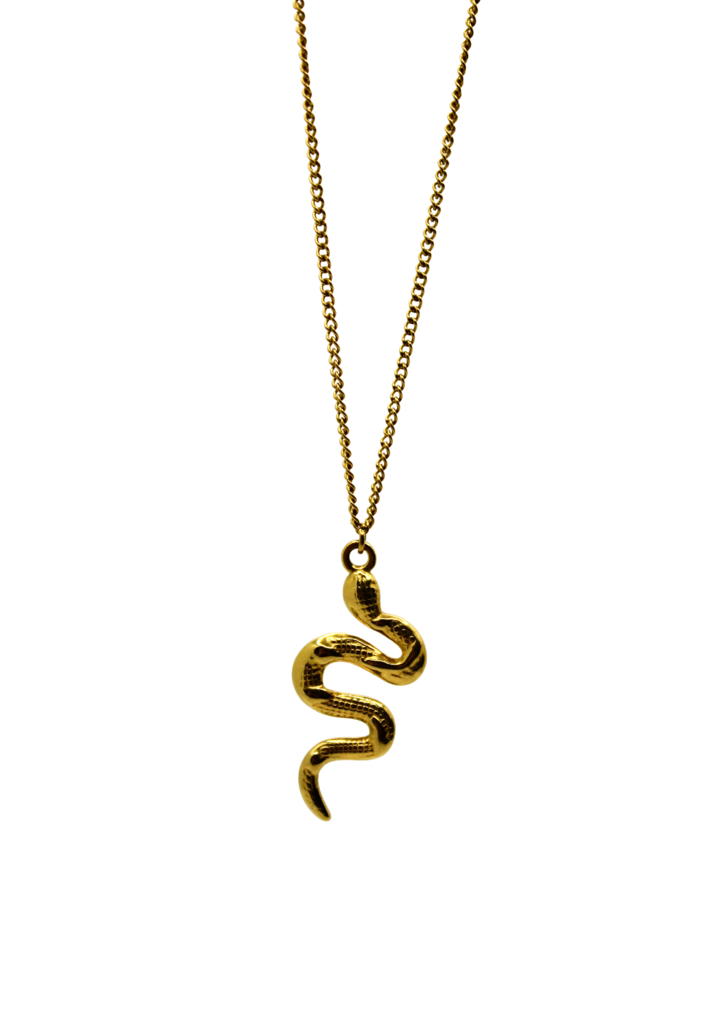 SNAKE