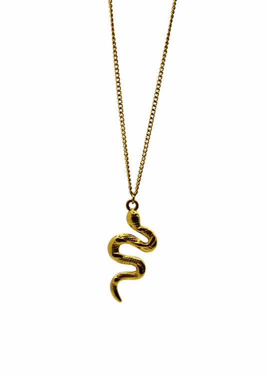 SNAKE